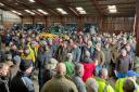 Part of the large crowd at the Colemere House Farm dispersal sale. Image: Halls