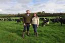 Will and Sophie McFarland milk a herd of 420 Friesian-crosses. Picture: Debbie James