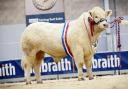 Balthayock Ranger sold for 28,000gns