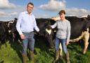 Jeffrey and Elinor Evans have only had five cases of mastitis per 100 cows in 2022. Picture: Debbie James
