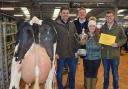 Geraint Jenkins (left) of Talybont, Aberystwyth, with his cow which won the Bryan Challenor Cup in 2022, judges Miles Oakley and Sammie Wilson and Halls' managing director Jon Quinn. Image: Halls