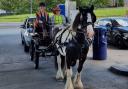 Penny and Ozzy call in at Tesco petrol station in Llandrindod