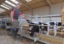 Rhys Williams prioritised ease of feeding and management in the shed design. Picture: Debbie James