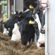 NFU Cymru has been working hard to develop a new code of conduct for dairy contracts.