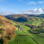 People living and farming in the Cothi Valley launched a petition in reaction to the afforestation plan by the Foresight Group