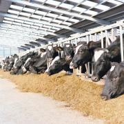 Milk merger comes under scrutiny