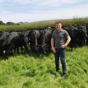Neil Davies has increased his annual output of beef with dairy calf-to-beef.