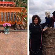 The cattle grid which has now  been fenced off and left Jo Waters with dogs Jimmy and Eva (far right)