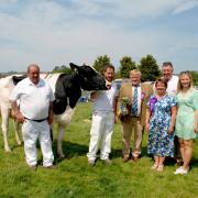 Supreme Dairy Champion went to M & J Owens, Tregaron. Image: Aberystwyth and Ceredigion Show