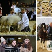 Fun, song and food alongside the livestock at the Winter Fair. Image: RWAS