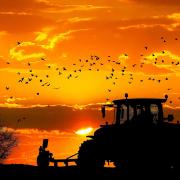 A sunset farming scene.