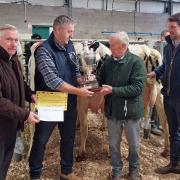 Rob Braithwaite (second from left) from World Wide Sires presents the Bryan Challenor Cup to Gerald Allsop watched by Halls chairman Allen Gittins (left) and judge Richard Bowdler.  Image: Halls