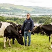 Eurof Edwards, Rhydeden Farm is harnessing the power of genomics in a bid to accelerate genetic progress in its split block calving herd.