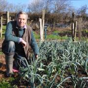 Alan Heeks in his local organic garden at Hayfield, Hay-on-Wye.