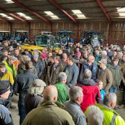 Part of the large crowd at the Colemere House Farm dispersal sale. Image: Halls
