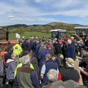 The crowd at the successful dispersal auction at Lower Heblands on Saturday.