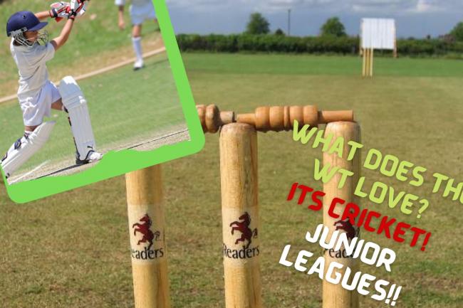 Pembroke County Junior Cricket Leagues recently got to play their first games after a slow start due to the torrid weather in May