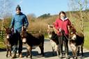 Mathew and Sioned Davies, owners of Moel Famau Donkeys