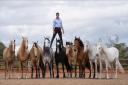 The Atkinson Action Horses stunt team headlines the show entertainment.