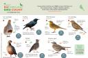 You can download a guide to farmland birds. Image: GWCT