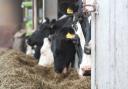 NFU Cymru has been working hard to develop a new code of conduct for dairy contracts.