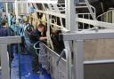 Milk suppliers face falling prices.
