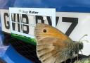 The 'splatometer' used in the citizen science project that asked people to count squashed bugs on their car number plates. Pictures: Darren Bradley/Buglife