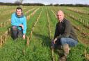 Mathew Van Dijk (right), pictured with Gareth Williams of ProCam, is seeing a financial return from under-sowing. Picture: Debbie James