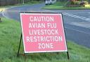 Council officers have conducted visits in response to an an outbreak of avian flu in Pembrokeshire