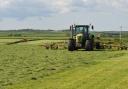 Silage is not a cheap forage to produce. Picture: Debbie James