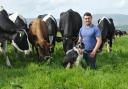 Owain Rees and his family produce organic milk in a grassland system. Picture: Debbie James
