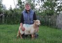 Ryan Williams' ram lambs from performance recorded tups are finishing at 15-16kg. Picture: Debbie James