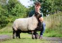 Leading trade for Badger Face Welsh Mountains at Brecon at 2,200gns was a Torddu ram lamb from Aron Hemmings.
