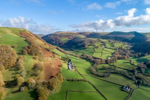 People living and farming in the Cothi Valley launched a petition in reaction to an afforestation plan by the Foresight Group.
