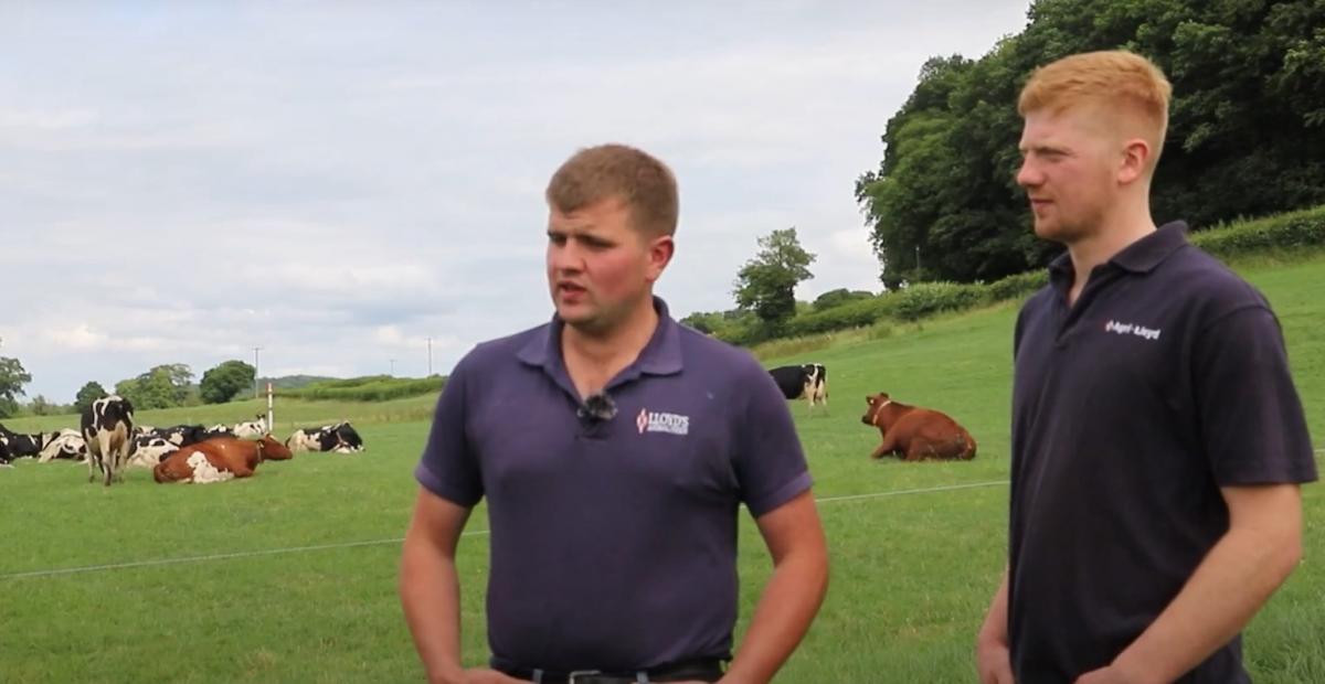 'Our Farms' connection pays dividends at west Wales farm 