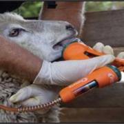 Sheep farmers are urged to use the latest generation of wormers