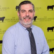 Robert Gilchrist suggests cull cow prices offer an opportunity to improve overall herd performance.