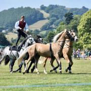 The Atkinson Action Horses stunt team providing the entertainment at the show. Image: IJS Photography.