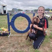 As always dogs were a vital part of the Pembrokeshire County Show