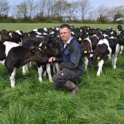 Andrew Rees has reduced total N use across the milking platform to 82kg/ha. Picture: Debbie James