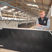Aled Thomas has set up Pembrokeshire's largest commercial pig operation. Picture: Menter Moch Cymru