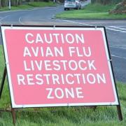 Council officers have conducted visits in response to an an outbreak of avian flu in Pembrokeshire