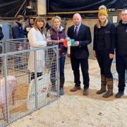 Rebecca John receives her prize at the Royal Welsh Winter Fair.