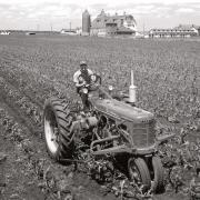 An old Farmall in action.