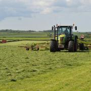 Silage is not a cheap forage to produce. Picture: Debbie James
