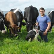 Owain Rees and his family produce organic milk in a grassland system. Picture: Debbie James