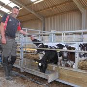 Rhys Williams prioritised ease of feeding and management in the shed design. Picture: Debbie James