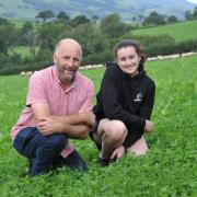 Dafydd Parry Jones, pictured with his daughter Nela, has been growing red clover for 20 years. Image: Farming Connect