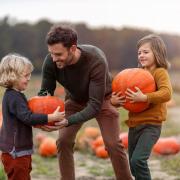 Are you looking for a pumpkin patch to visit before Halloween 2023? Take a look at the best spots in North Wales to visit according to Google Reviews