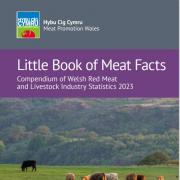 Lots of facts about meat.